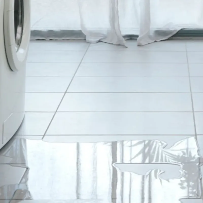 Appliance Leak Cleanup in Hollywood Park, TX