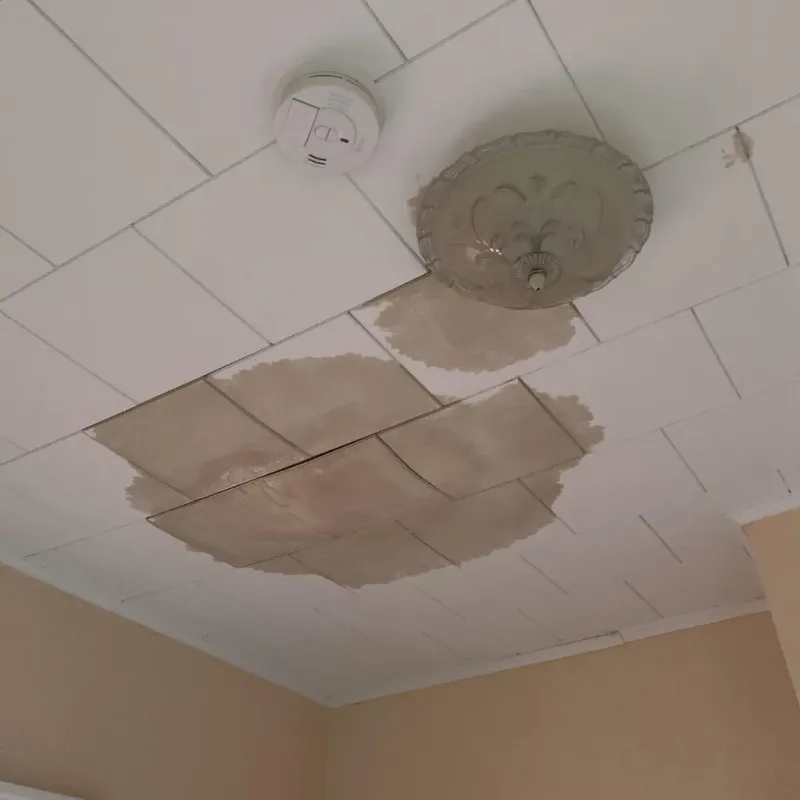 Ceiling Water Damage Repair in Hollywood Park, TX