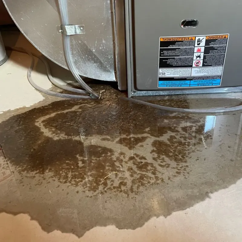 Pipe Burst and Leak Restoration in Hollywood Park, TX