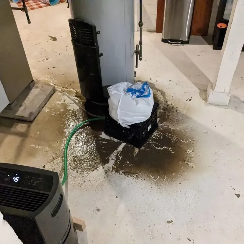Sewage Backup Cleanup Service in Hollywood Park, TX